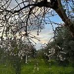 Le Casette Di Campagna #2 Apartment
