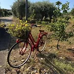 Le Casette Di Campagna #2 *