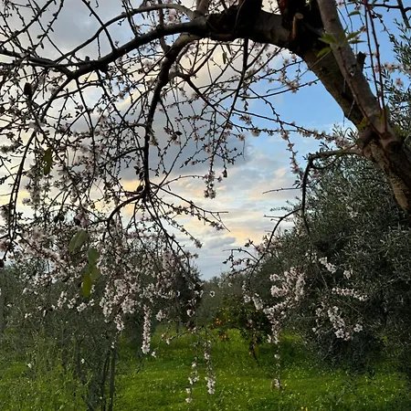 Le Casette Di Campagna #2 Appartement