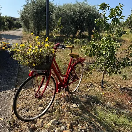 Le Casette Di Campagna #2 *